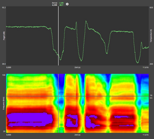 DataSuite Power Plant